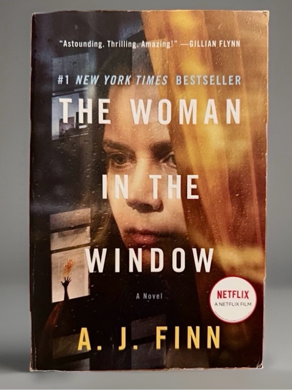 The Woman in the Window A Novel by A. J. Finn (Now on Netflix)